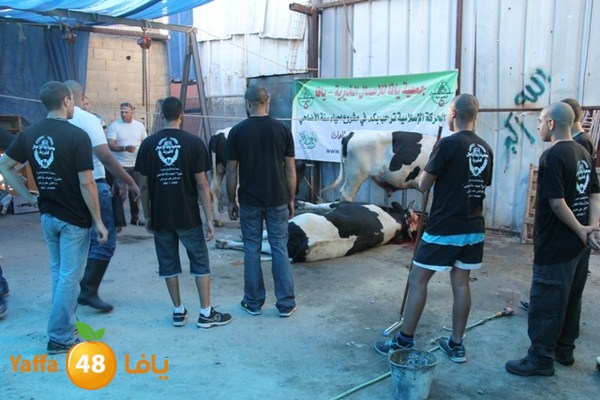 ada7y 116 n1 (53).JPG